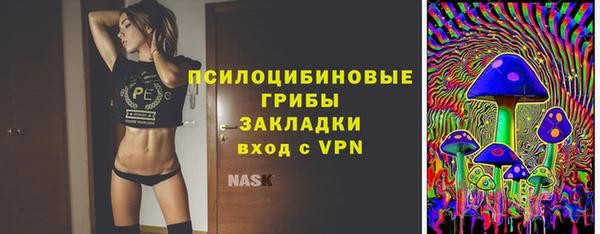 МДПВ Михайловск