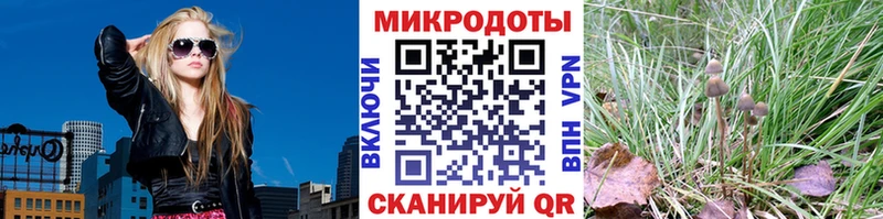 Псилоцибиновые грибы мухоморы  OMG вход  Медынь 